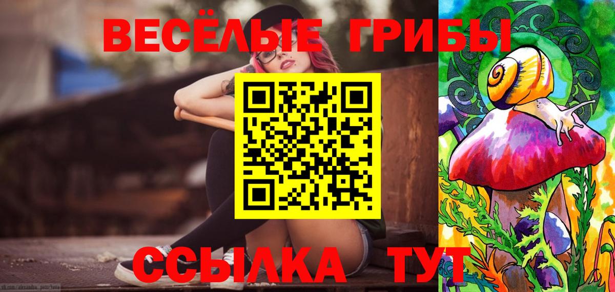 Ростов Великий  Псилоцибиновые грибы Psilocybe  Вход с VPN  Галлюциногенные грибы Magic Shrooms 